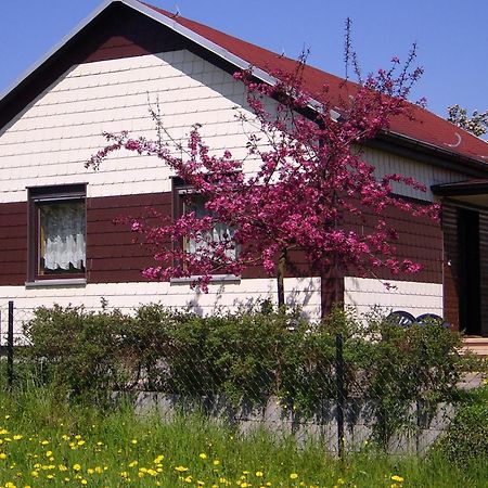 Waldblick Villa Валтерсхаузен Екстериор снимка